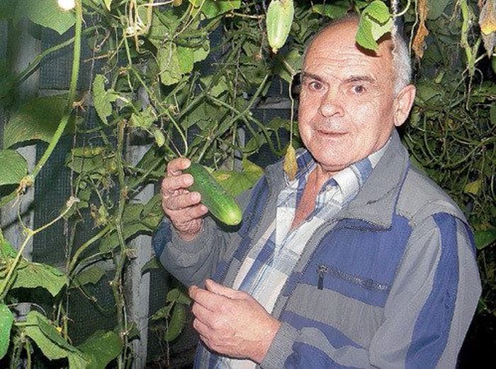 Волька ибн Алёша из «Старика Хоттабыча» (8 фото) Волька ибн Алёша из «Старика Хоттабыча» (8 фото)