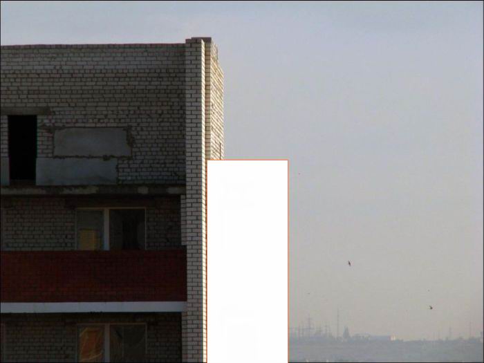 Собака любит экстрим (4 фото) Собака любит экстрим (4 фото)