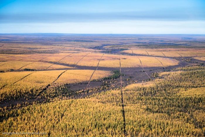Загадочные полосы в глухой якутской тайге (3 фото) Загадочные полосы в глухой якутской тайге (3 фото)