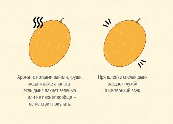    (6 )