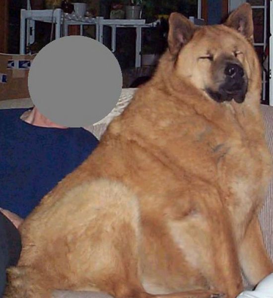    (49 )