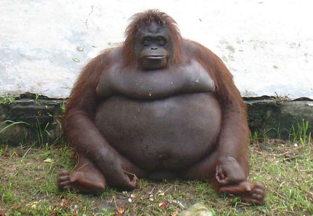    (49 )