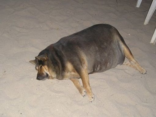    (49 )