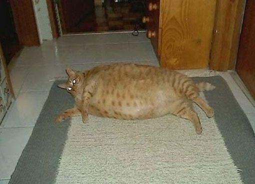    (49 )