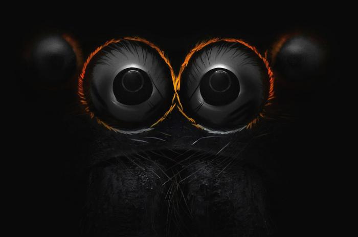  Nikon Small World 2016 (21 )