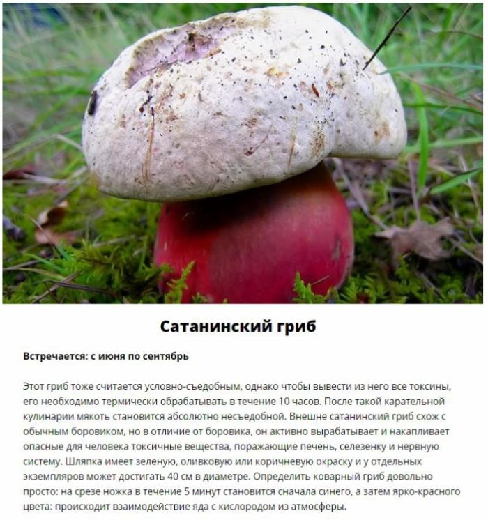  ,     (11 )