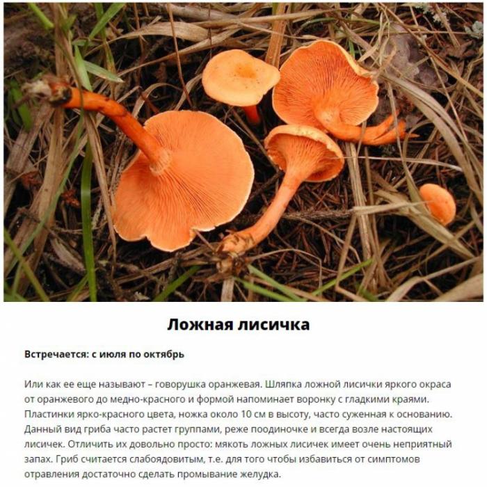  ,     (11 )