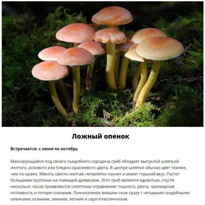  ,     (11 )