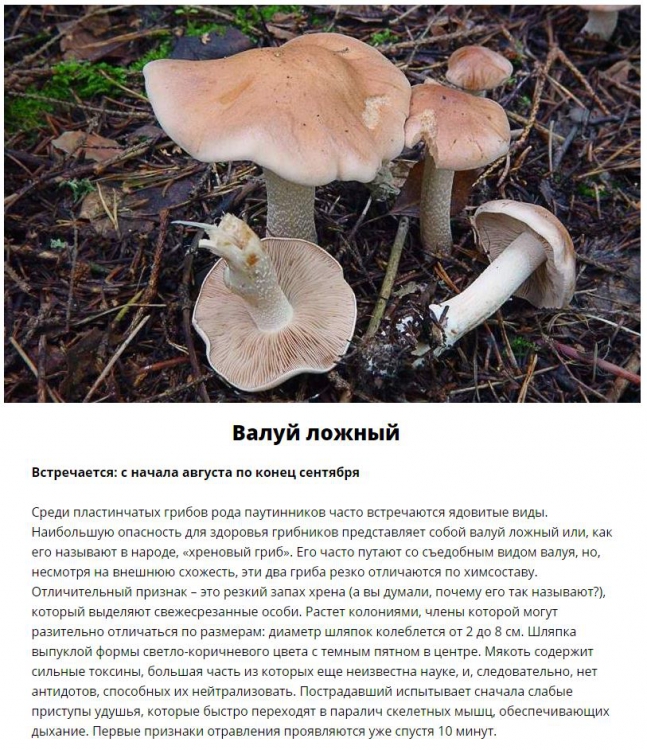  ,     (11 )