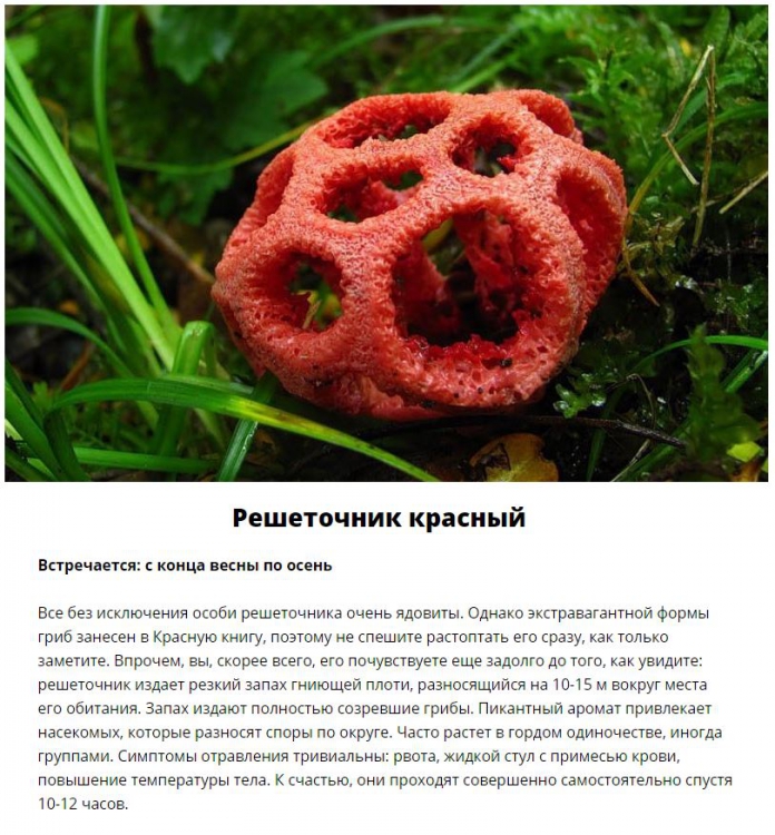  ,     (11 )