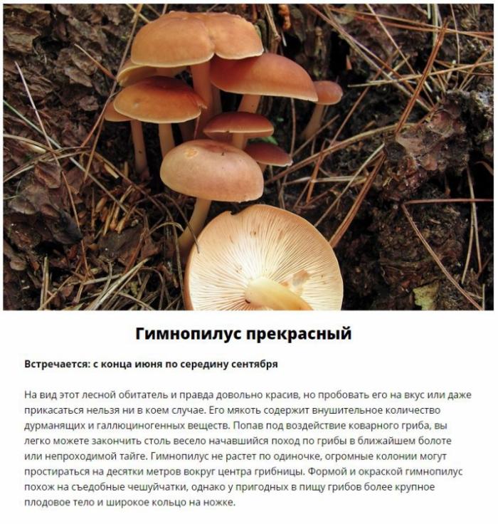  ,     (11 )