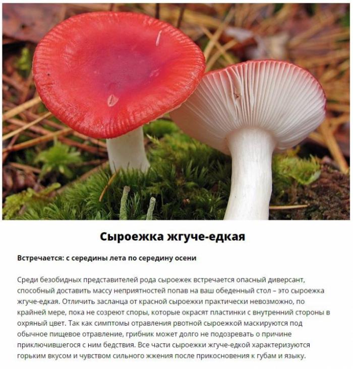  ,     (11 )