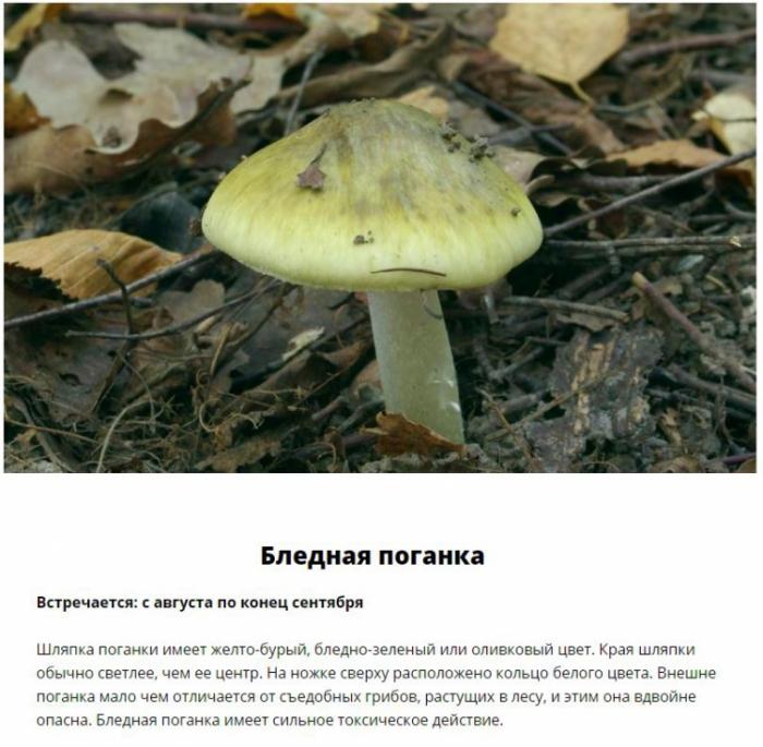  ,     (11 )