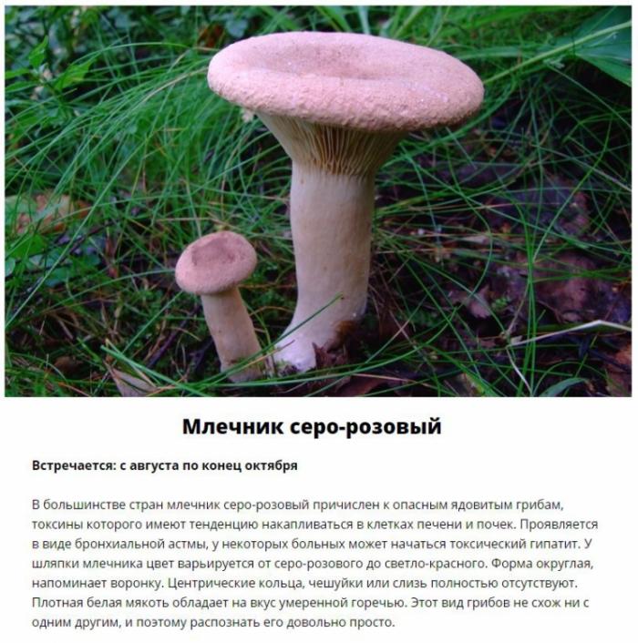  ,     (11 )