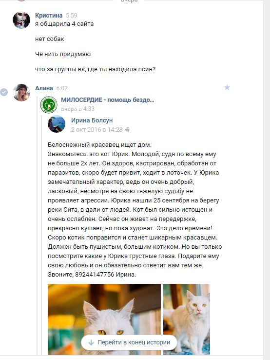 Хабаровские живодерки (8 фото) Хабаровские живодерки (8 фото)