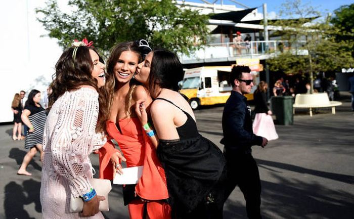   Geelong Cup (58 )