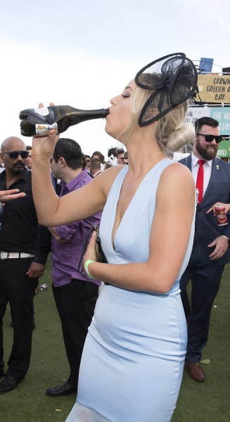   Geelong Cup (58 )