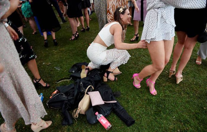   Geelong Cup (58 )