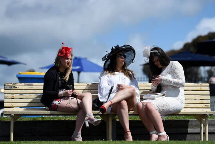   Geelong Cup (58 )