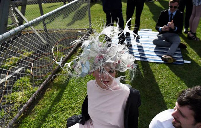  Geelong Cup (58 )