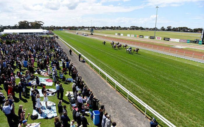   Geelong Cup (58 )