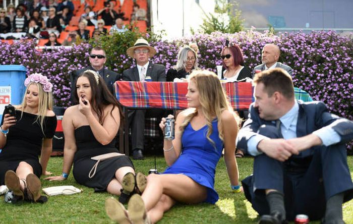  Geelong Cup (58 )
