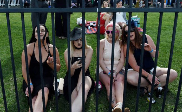   Geelong Cup (58 )