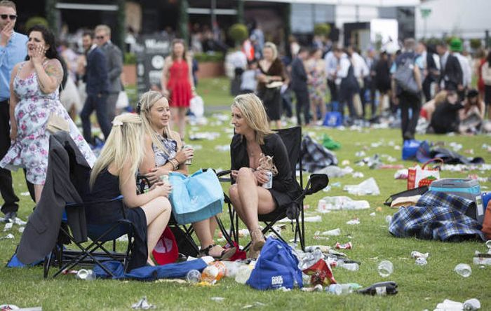   Geelong Cup (58 )