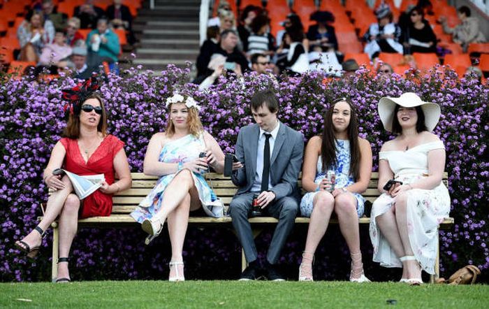   Geelong Cup (58 )