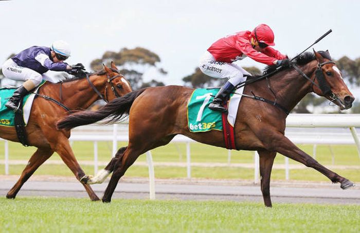 Австралийские скачки Geelong Cup (58 фото) Австралийские скачки Geelong Cup (58 фото)