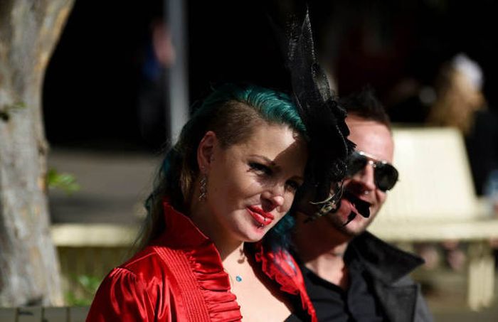  Geelong Cup (58 )