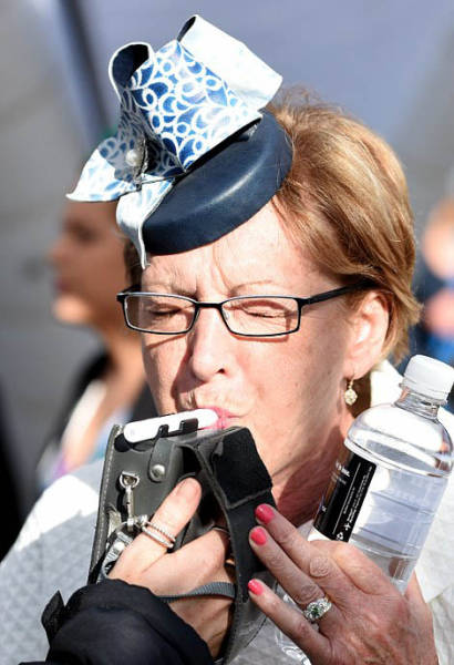   Geelong Cup (58 )