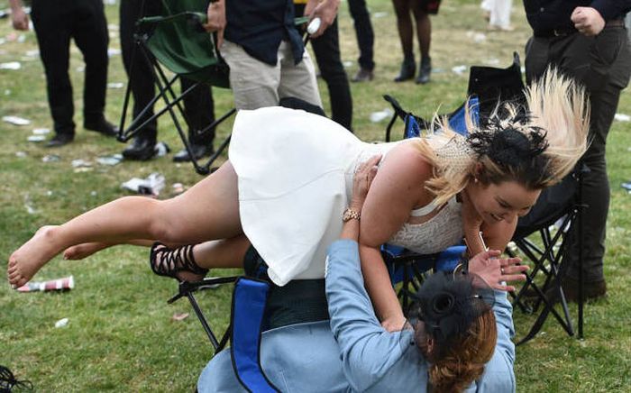   Geelong Cup (58 )