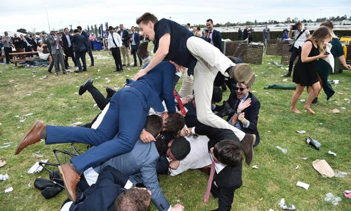   Geelong Cup (58 )