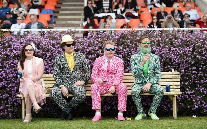   Geelong Cup (58 )