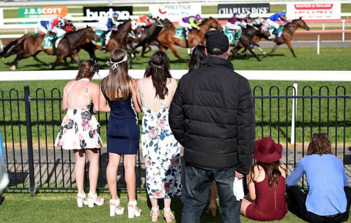   Geelong Cup (58 )