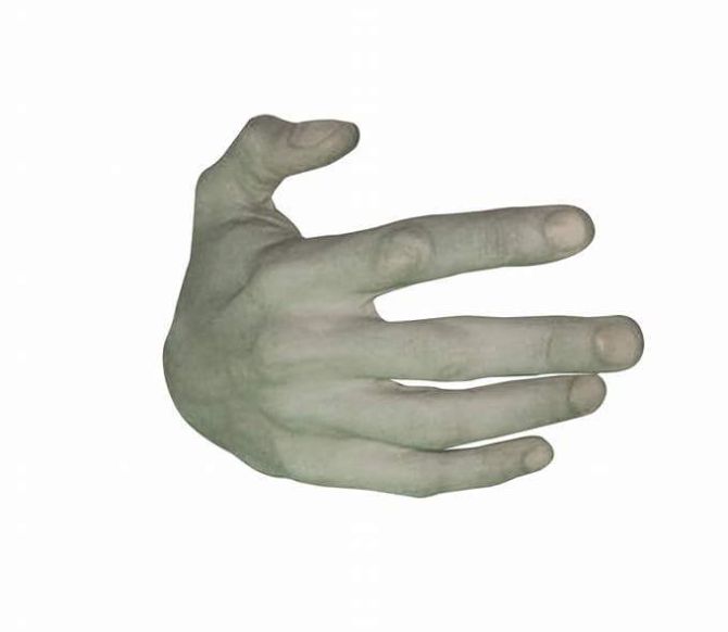     (4 )