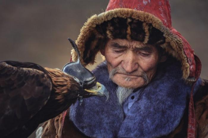       Golden Eagle Festival (16 )