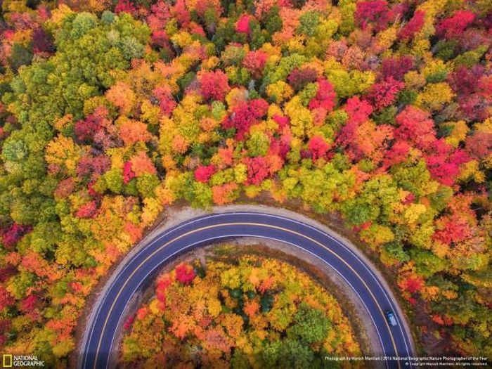    National Geographic 2016 (49 )