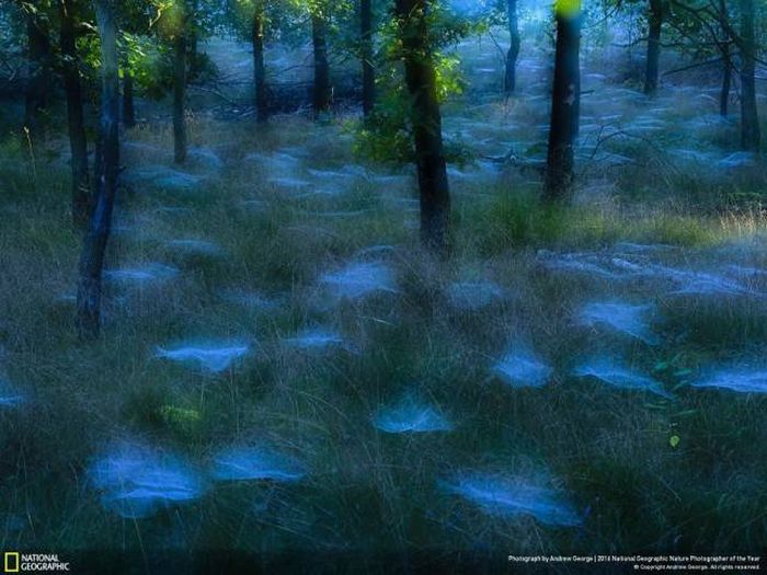    National Geographic 2016 (49 )