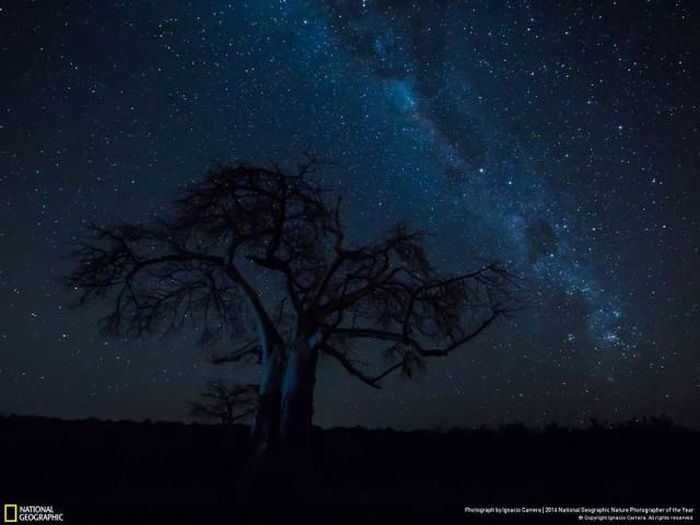    National Geographic 2016 (49 )