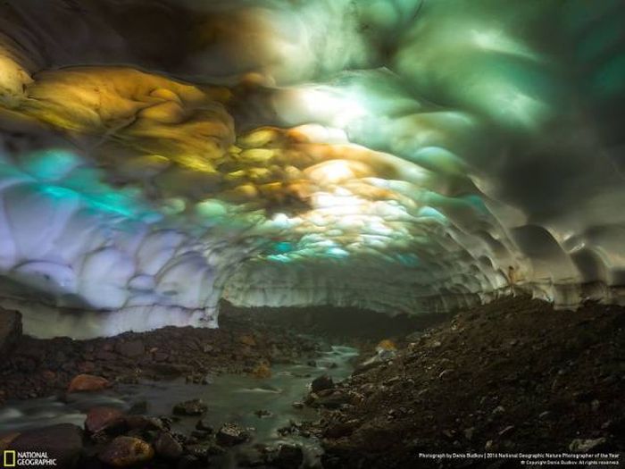    National Geographic 2016 (49 )
