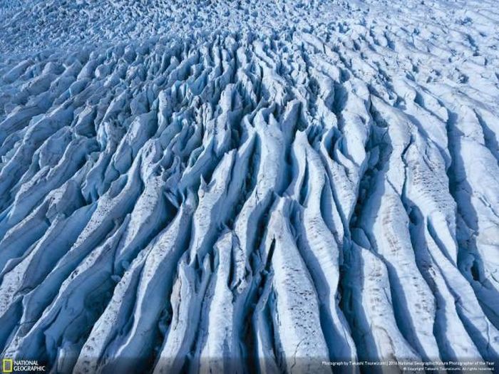    National Geographic 2016 (49 )