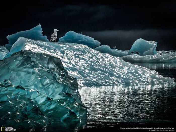    National Geographic 2016 (49 )