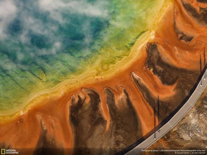    National Geographic 2016 (49 )