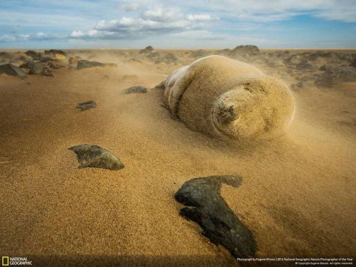    National Geographic 2016 (49 )