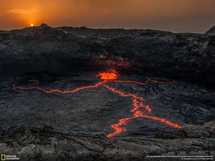    National Geographic 2016 (49 )