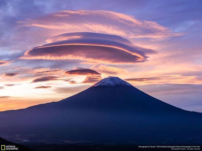    National Geographic 2016 (49 )