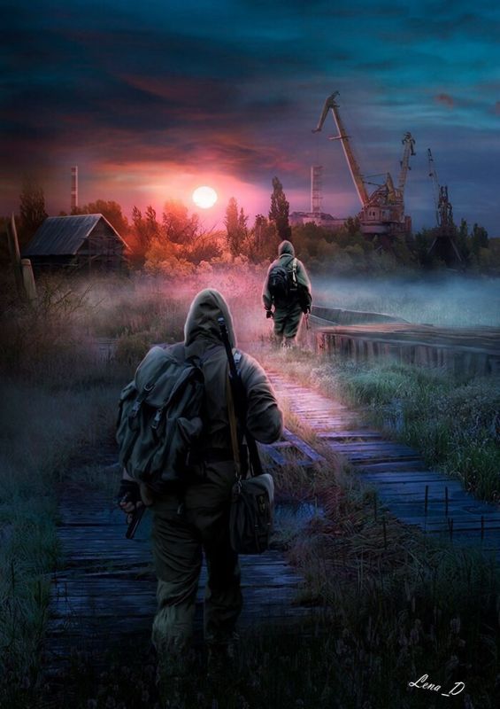 STALKER  (25 )