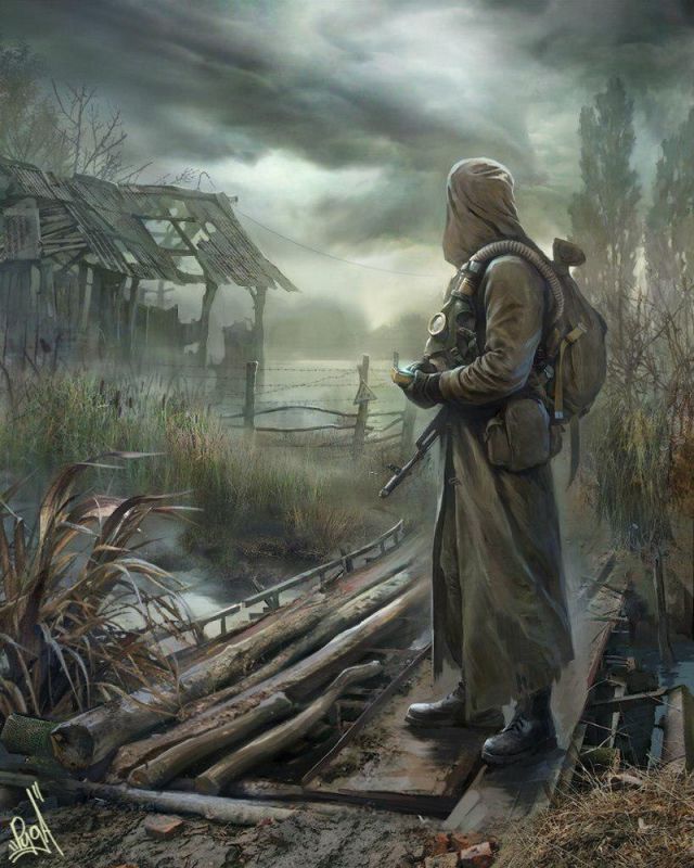 STALKER  (25 )